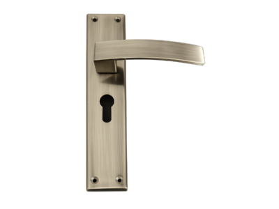 Arcus Stainless Steel Mortise Door Handle
