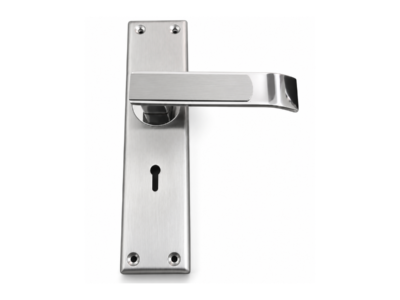 Fusion Stainless Steel Mortise Door Handle