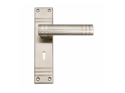 Regal Tube Stainless Steel Mortise Handle