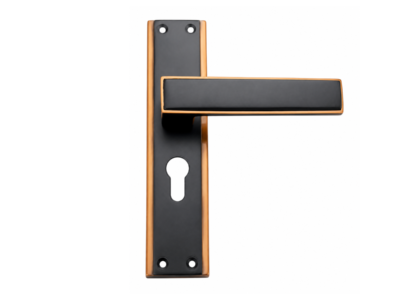 Matte Black Rose Gold Mortise Door Handle