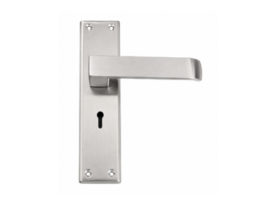 Satin Steel Mortise Handle
