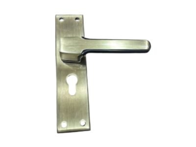 Antique Brass Mortice Door Handle on Backplate