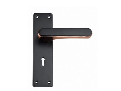 Aurex Dual-Tone Lever Handle on Backplate